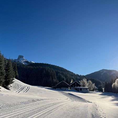 Plaik-Haeusl Vila Annaberg im Lammertal Exterior foto
