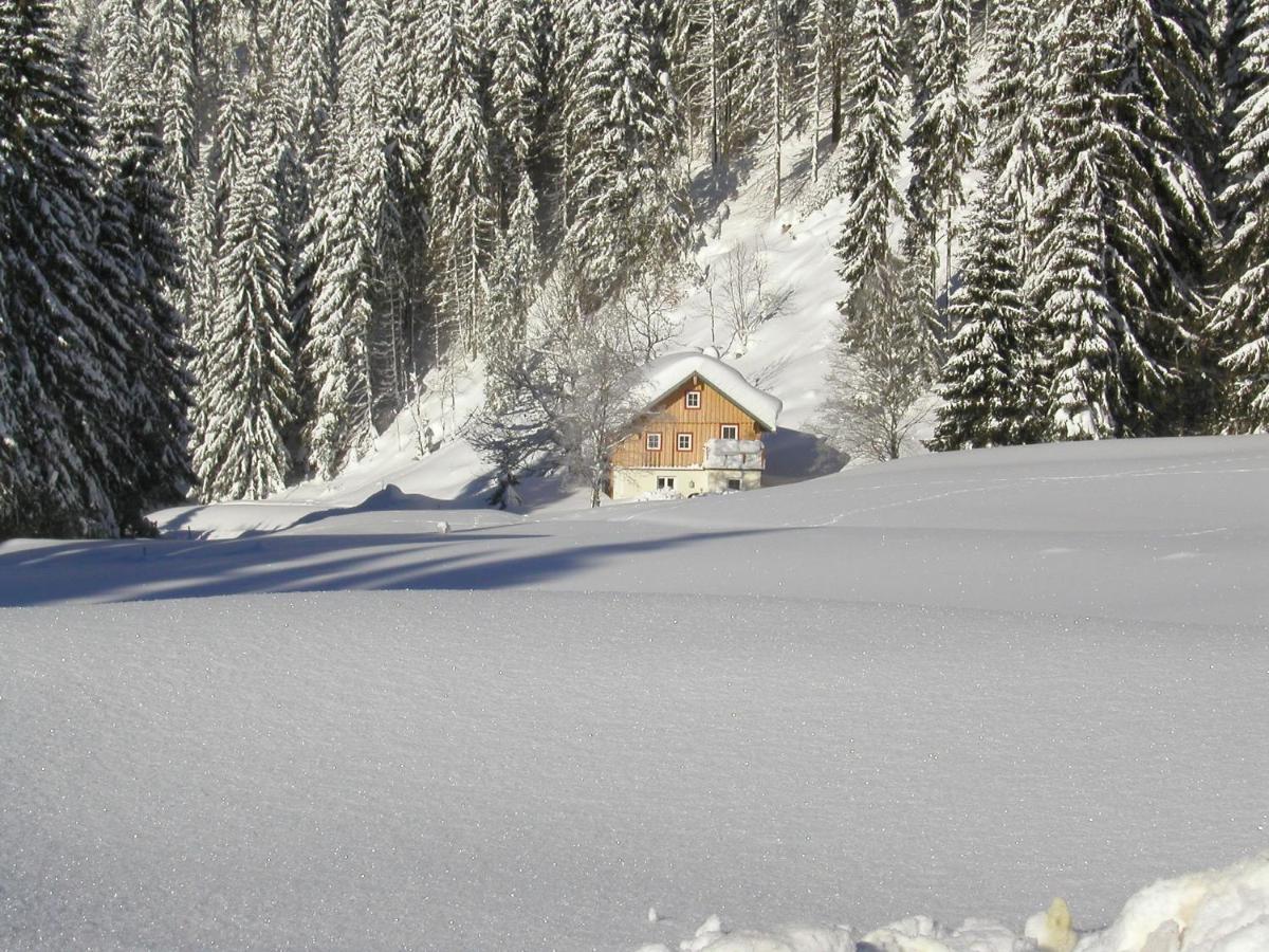 Plaik-Haeusl Vila Annaberg im Lammertal Exterior foto