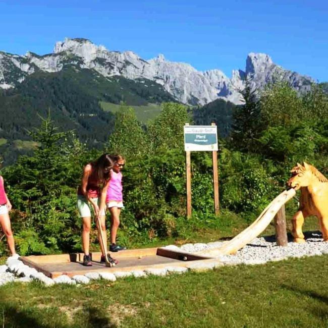 Plaik-Haeusl Vila Annaberg im Lammertal Exterior foto