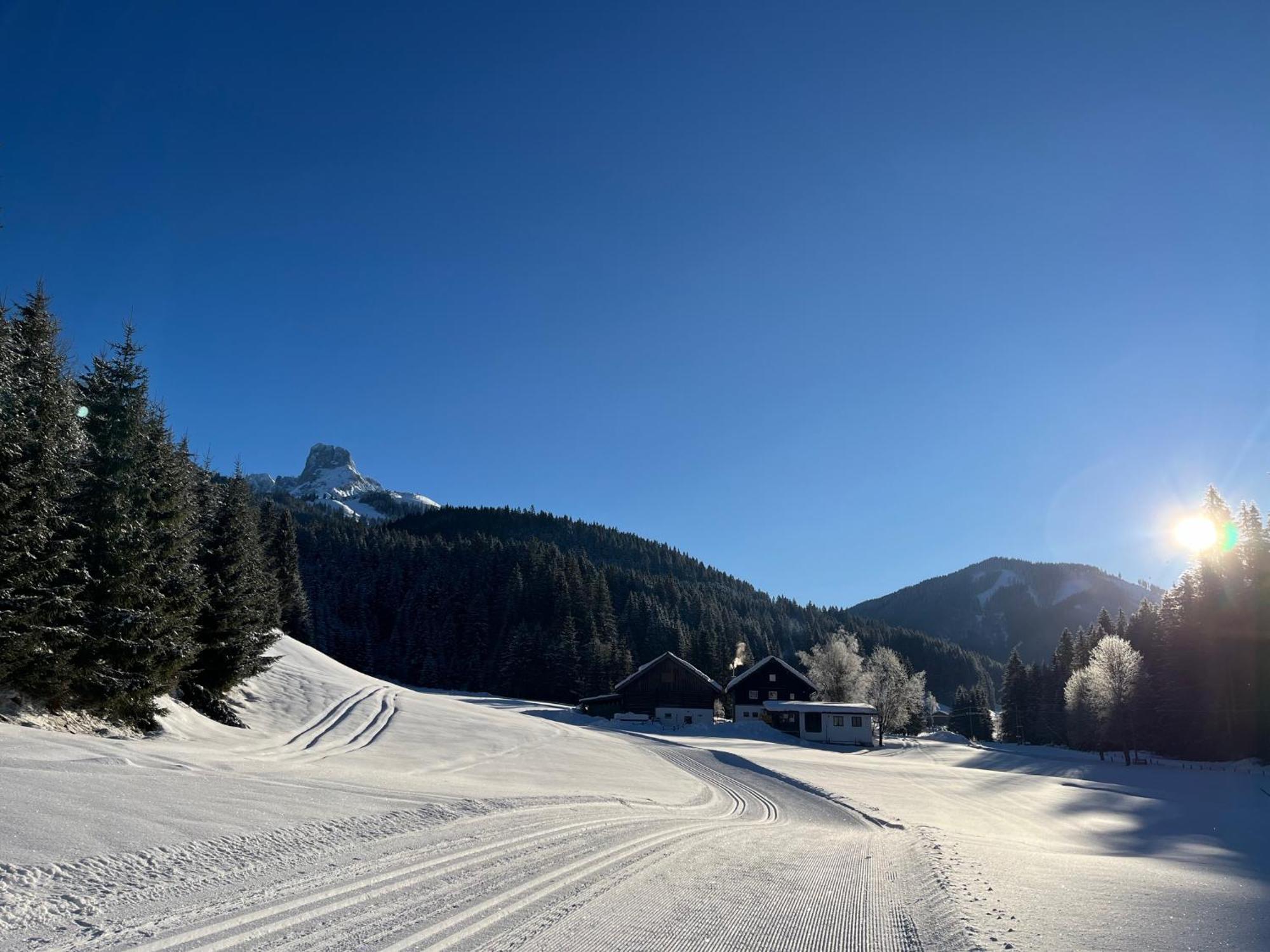 Plaik-Haeusl Vila Annaberg im Lammertal Exterior foto